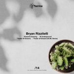 cover: Bryan Rizzitelli - 14 / Bryan Rizzitelli, Ki.Mi. [DAM14]