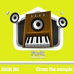 cover: Erik Bo - Cross The Sample