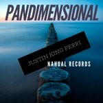 cover: Justin King Perri - Pandimensional