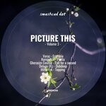 cover: Various - Picture This, Vol 3