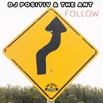 cover: Dj Positiv|The Ant - Follow