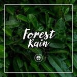 cover: Nature Ambience - Forest Rain