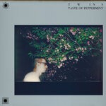 cover: Twins - Taste Of Peppermint