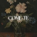 cover: Punkfun - Come Te