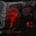 cover: Kalina - Tourch Flashes