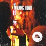 cover: Anektode - Walking Down