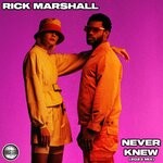 cover: Rick Marshall - Never Knew