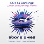 cover: Co1n|Darkingz - Winter Sea (Darkingz Remix)