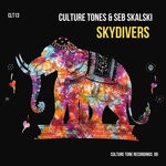 cover: Seb Skalski - Sky Divers