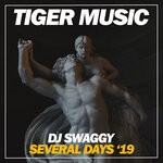 cover: Dj Swaggy - Several Days '19