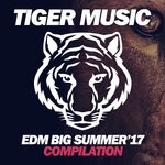 cover: Various - EDM Big Summer '17