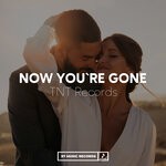 cover: TNT Records - Now You're Gone