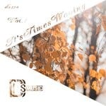 cover: Various - It's Times Wooing, Vol 1