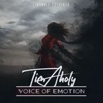 cover: Timaholy - Voice Of Emotion