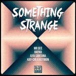 cover: Rayko|Kay-chi|Ilya Santana|Mr Gee - Something Strange