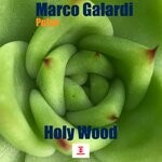 cover: Marco Galardi Pulse - Holy Wood