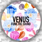 cover: Funk The Sound - Venus