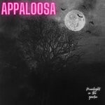 cover: Appaloosa - Moonlight In The Garden