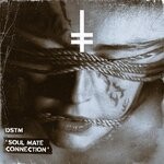 cover: Dstm - Soul Mate Connection