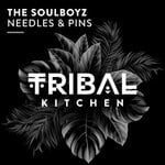 cover: The Soulboyz - Needles & Pins