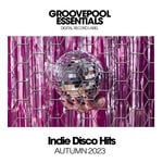 cover: Various - Indie Disco Hits 2023