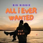 cover: Big Biggie - All I Ever Wanted (VIP Edit)