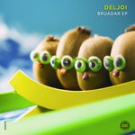 cover: Deljoi - Bruadar EP