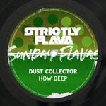 cover: Dust Collector - How Deep