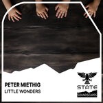 cover: Peter Miethig - Little Wonders