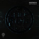 cover: Deepness - Winterwald