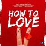 cover: Vinyl Dealer|Sir Maffhi Feat Fragile Vocals|Mellowcent - How To Love