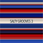 cover: Various - Salty Grooves 3