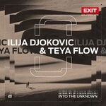 cover: Teya Flow|Ilija Djokovic - Into The Unknown (Extended Mix)