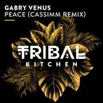 cover: Gabry Venus - Peace (CASSIMM Remix)