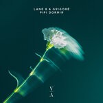 cover: Grigore|Lane 8 - Pipi Dormir