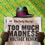 cover: Ragga Twins - Too Much Madness (Voltage Remix)