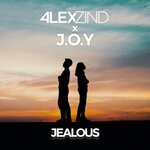 cover: J.o.y|Alex Zind - Jealous