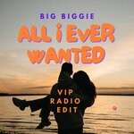 cover: Big Biggie - All I Ever Wanted (VIP Radio Edit)