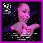 cover: Jj Louis|Sulene Fleming - You Bring The Storm / Havana