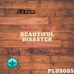 cover: Fitzer - Beautiful Disaster