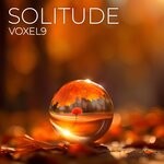 cover: Voxel9 - Solitude