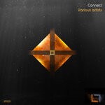 cover: Various - Connect