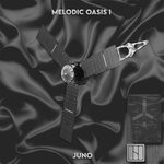 cover: Various - Melodic Oasis I - JUNO