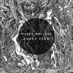 cover: Musky Mollusk - Chord Flow