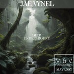 cover: Jae Vynel - Deep Underground