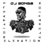 cover: Dj Bongz - Elevation