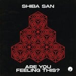 cover: Shiba San - Are You Feeling This? / Stay Focused