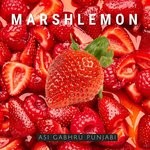 cover: Marshlemon - Asi Gabhru Punjabi