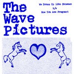 cover: The Wave Pictures - We Dress Up Like Snowmen