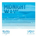 cover: Two Wounded Birds - Midnight Wave